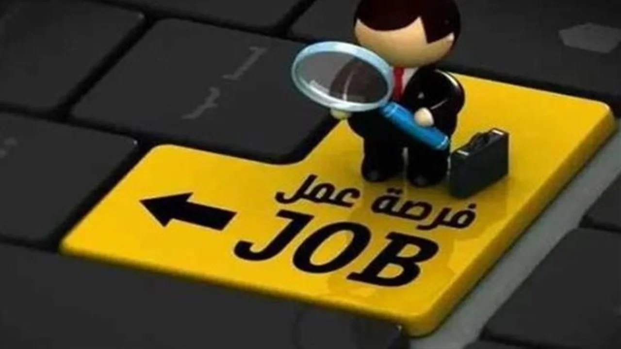 فرصة مميزة.. وظائف جديدة بوزارة التضامن للمؤهلات العليا